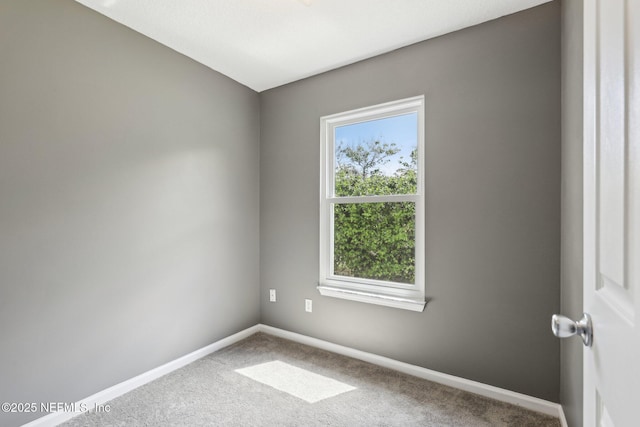 11 Northside Dr S Unit 101, Jacksonville, FL 32218 - photo 18