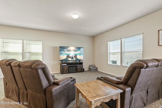 carpeted living room with a textured ceiling