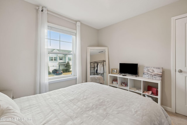 bedroom with carpet floors