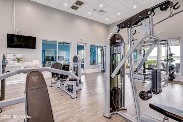 gym with a wealth of natural light, light hardwood / wood-style flooring, and a high ceiling