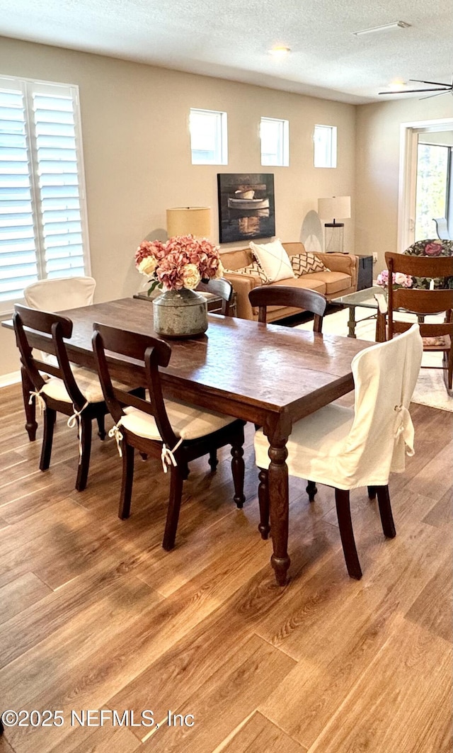 dining space with a wealth of natural light, a textured ceiling, and light hardwood / wood-style flooring