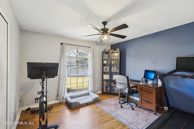 office space featuring hardwood / wood-style flooring, ceiling fan, and a textured ceiling