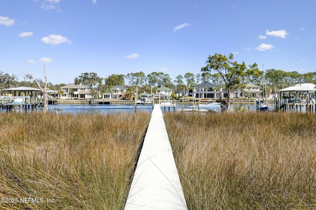 dock area with a water view