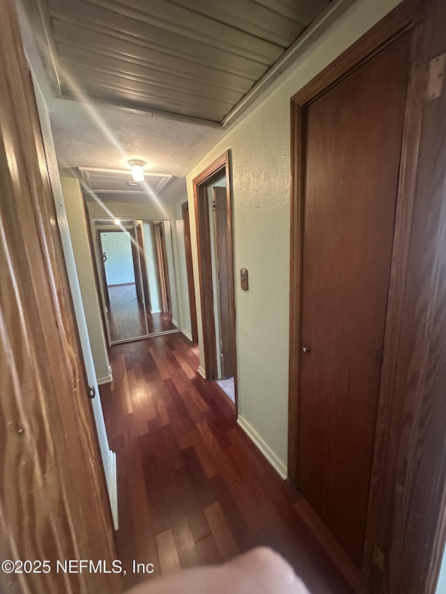 hallway featuring dark hardwood / wood-style floors