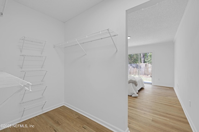 walk in closet with hardwood / wood-style flooring