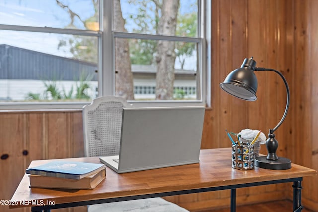 interior space with wood walls