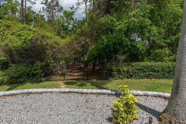 3308 Raven Ct, Saint Johns, FL 32259 - photo 26
