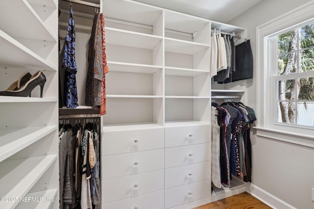 walk in closet with wood finished floors