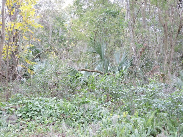 2008 Nickerson Ln, Jacksonville, FL 32207 - photo 7