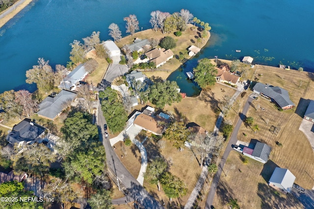 1019 Haynes Ct, Green Cove Springs, FL 32043 - bird's eye view with a water view