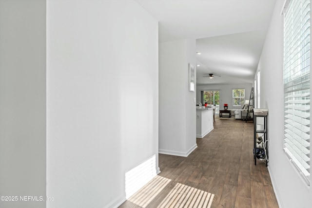 corridor featuring dark hardwood / wood-style flooring