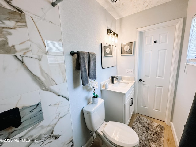 bathroom featuring vanity, toilet, and wood-type flooring