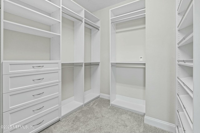 walk in closet with light colored carpet