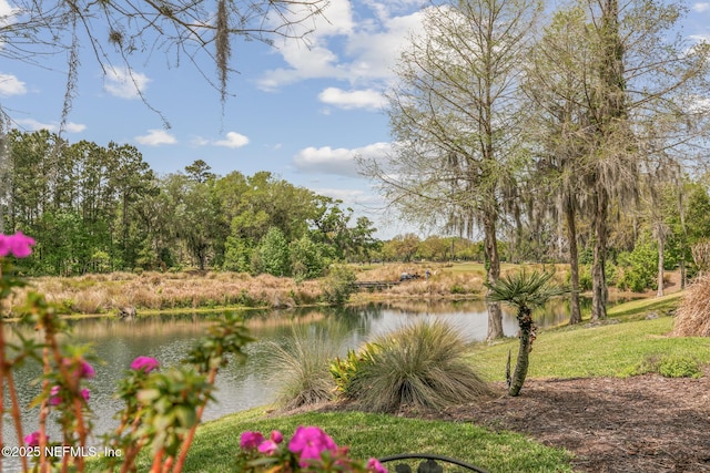 2095 Crown Dr, Saint Augustine, FL 32092 - water view