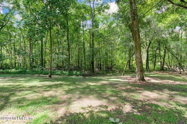 view of yard featuring a wooded view