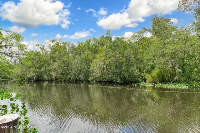 water view featuring a wooded view