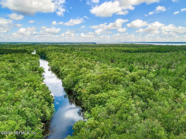 birds eye view of property with a water view and a view of trees