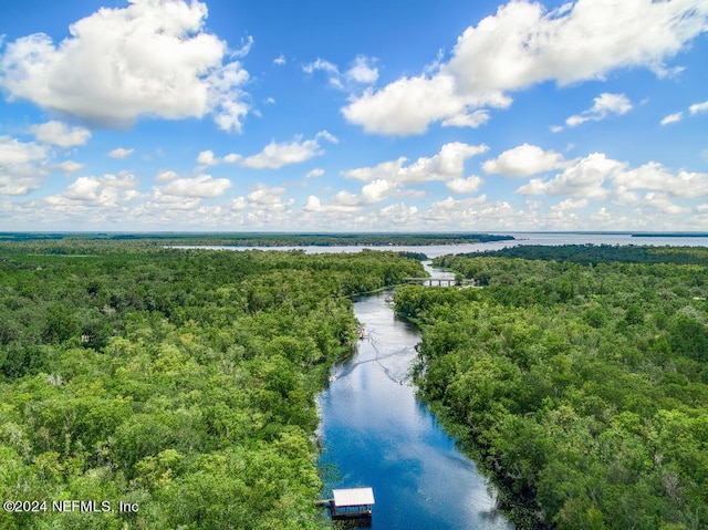 aerial view with a water view and a wooded view