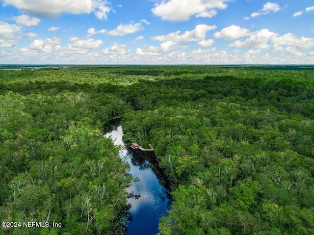 bird's eye view featuring a water view and a view of trees