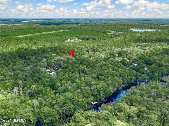 bird's eye view featuring a water view and a wooded view