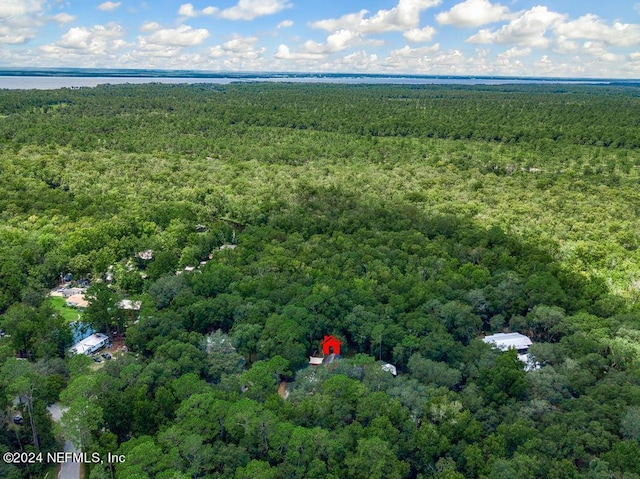 birds eye view of property with a water view and a view of trees