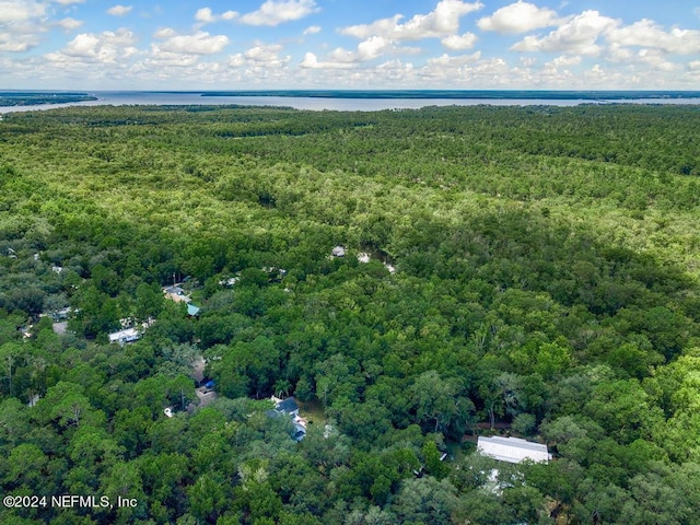 drone / aerial view featuring a forest view and a water view