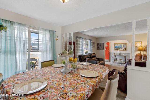 dining room featuring wood-type flooring