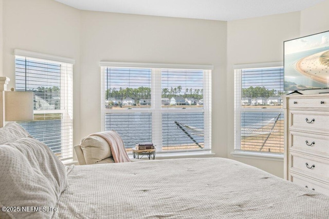 bedroom featuring multiple windows