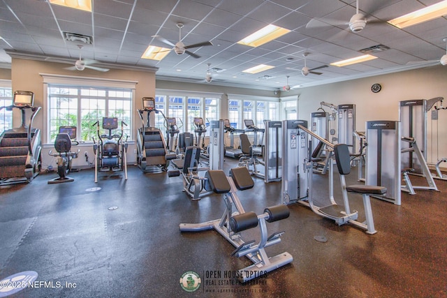 gym featuring ceiling fan and ornamental molding