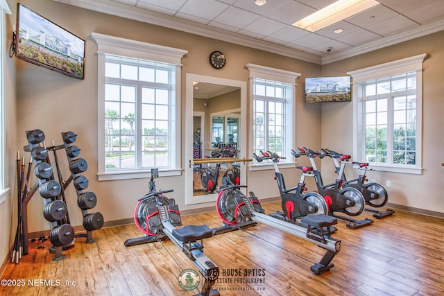 exercise area featuring light hardwood / wood-style flooring and ornamental molding