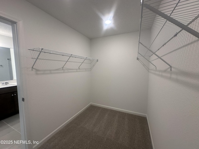 spacious closet featuring a sink and light colored carpet