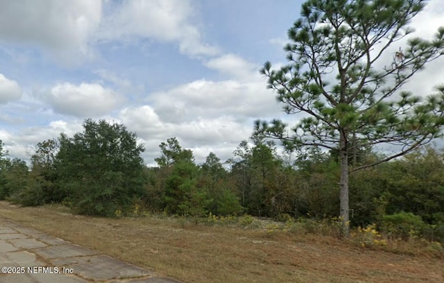 Listing photo 2 for 0 Hale Ct, Chipley FL 32428