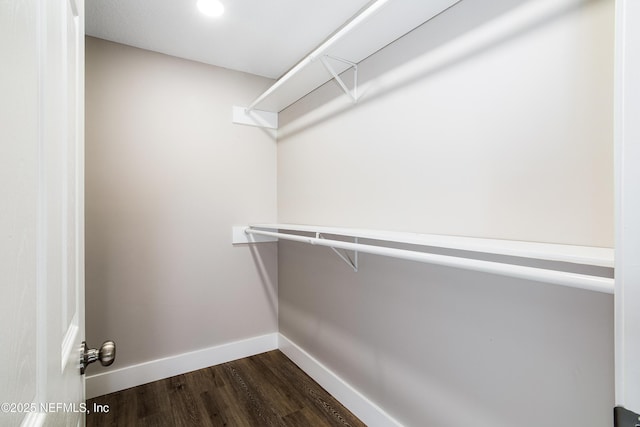 walk in closet with dark hardwood / wood-style floors