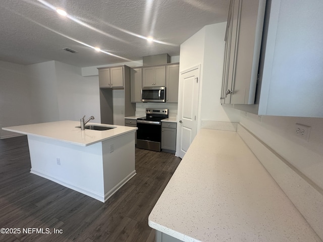 kitchen featuring a sink, appliances with stainless steel finishes, dark wood-style flooring, and gray cabinets