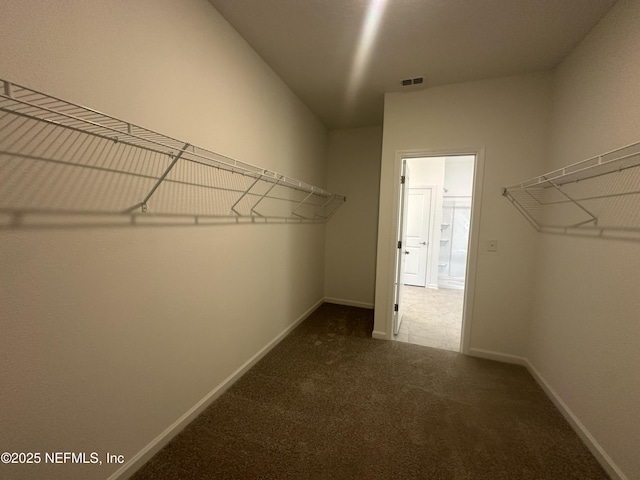 spacious closet featuring visible vents and dark colored carpet