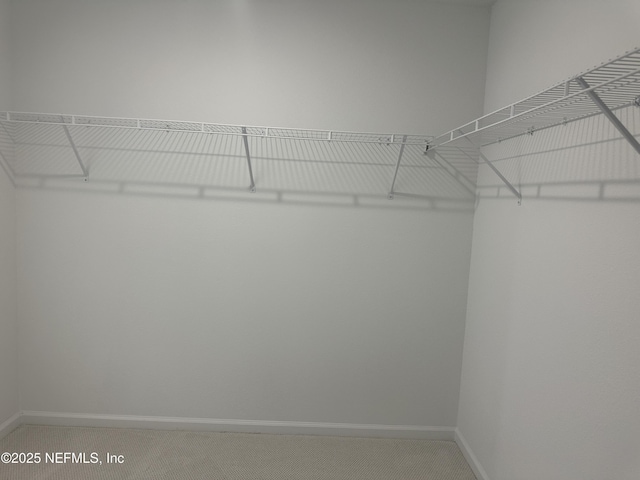 walk in closet with carpet flooring