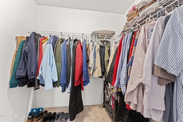 spacious closet featuring carpet