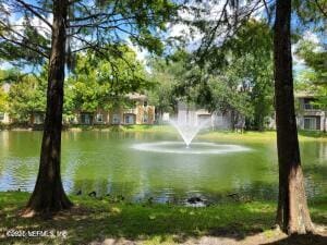 view of water feature