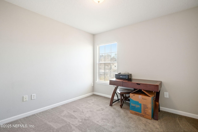 office area featuring carpet flooring