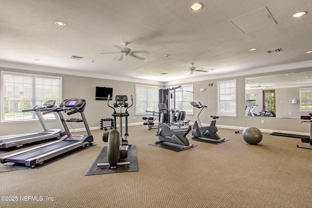 workout area with a healthy amount of sunlight, ornamental molding, and a textured ceiling