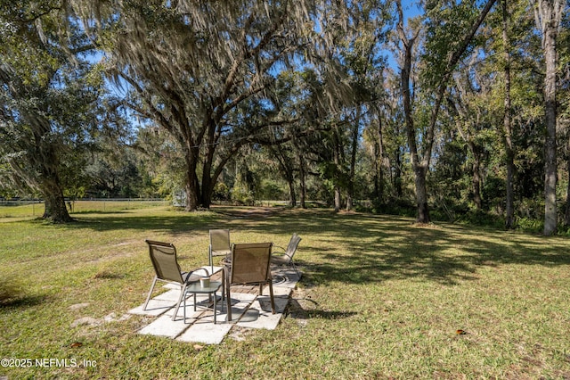 view of yard featuring a patio area