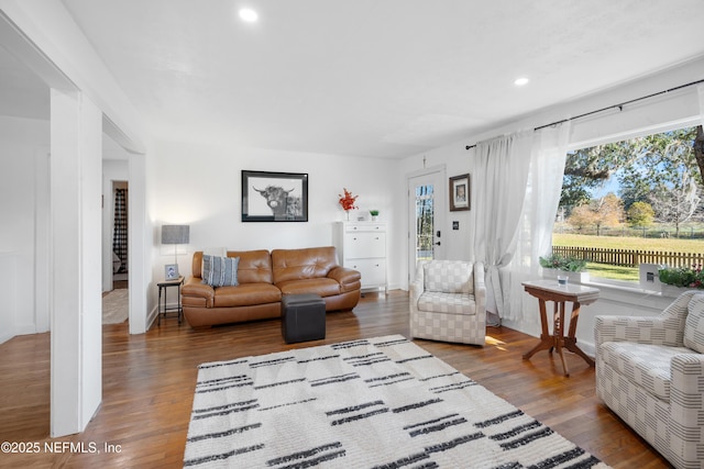 living room featuring wood-type flooring