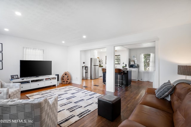 living room featuring wood-type flooring