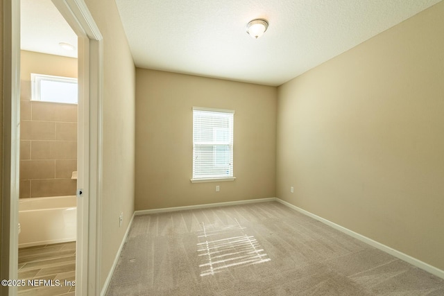 carpeted empty room featuring plenty of natural light and a textured ceiling