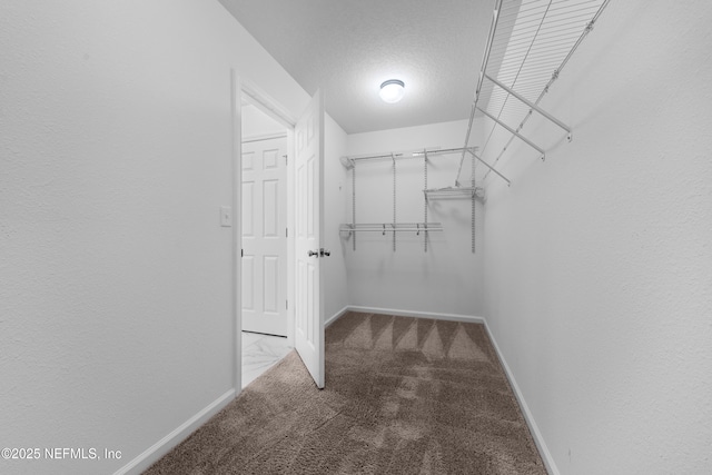 spacious closet featuring light carpet