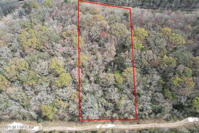 000 W Deep Creek Blvd, Hastings FL, 32145 land for sale