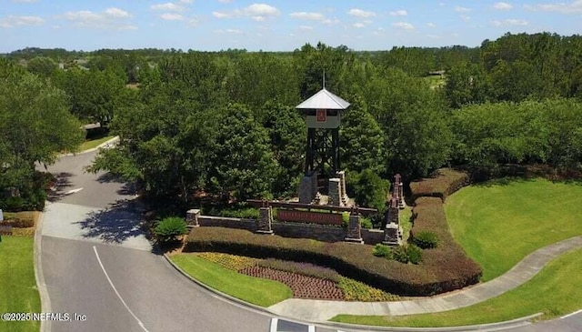 bird's eye view