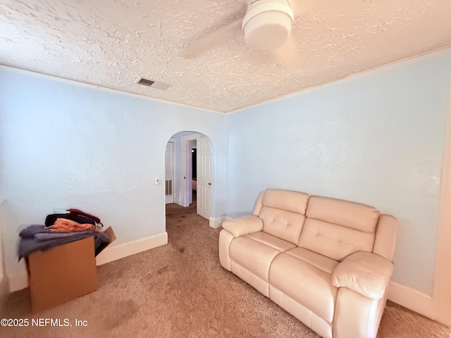 sitting room with light colored carpet and a textured ceiling