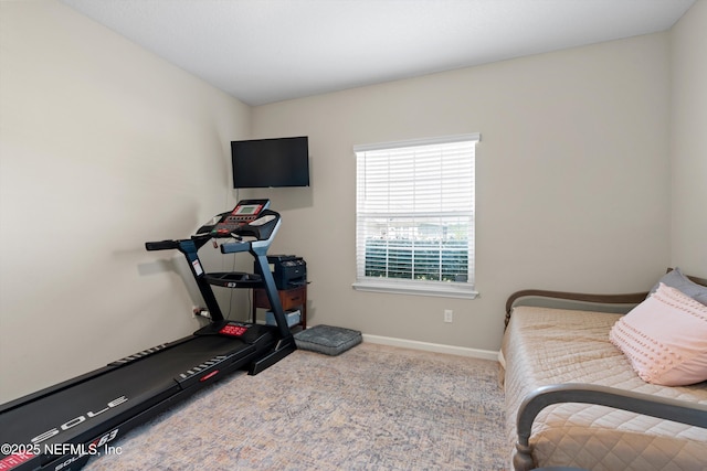 workout area with light carpet