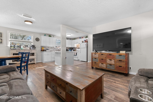 living room with wood-type flooring and a textured ceiling